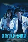 Постер к дораме Напарники