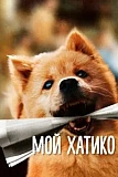 Постер к дораме Мой Хатико