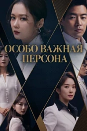 Постер к дораме V.I.P.