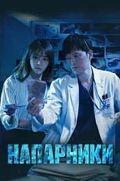 Постер к дораме Напарники