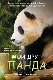 Постер к дораме Мой друг панда