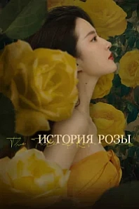 Постер к дораме История розы