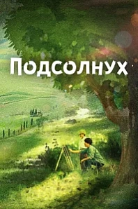 Постер к дораме Подсолнух