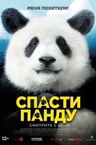 Постер к дораме Спасти панду