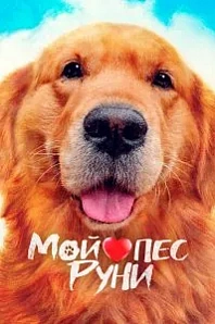 Постер к дораме Мой пёс Руни