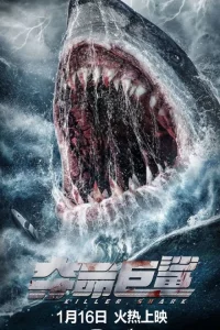 Постер к Killer Shark Акула-убийца