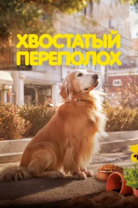 Постер к Dogeu deijeu Хвостатый переполох