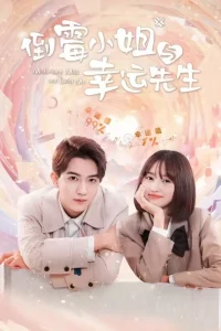 Dao Mei Xiao Jie Yu Xing Yun Xian Sheng