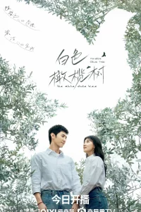 The White Olive Tree