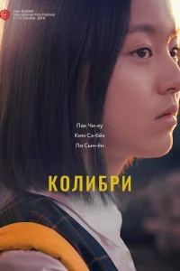 Колибри