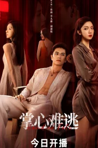 Постер к Zhang Xin Nan Tao Рука судьбы